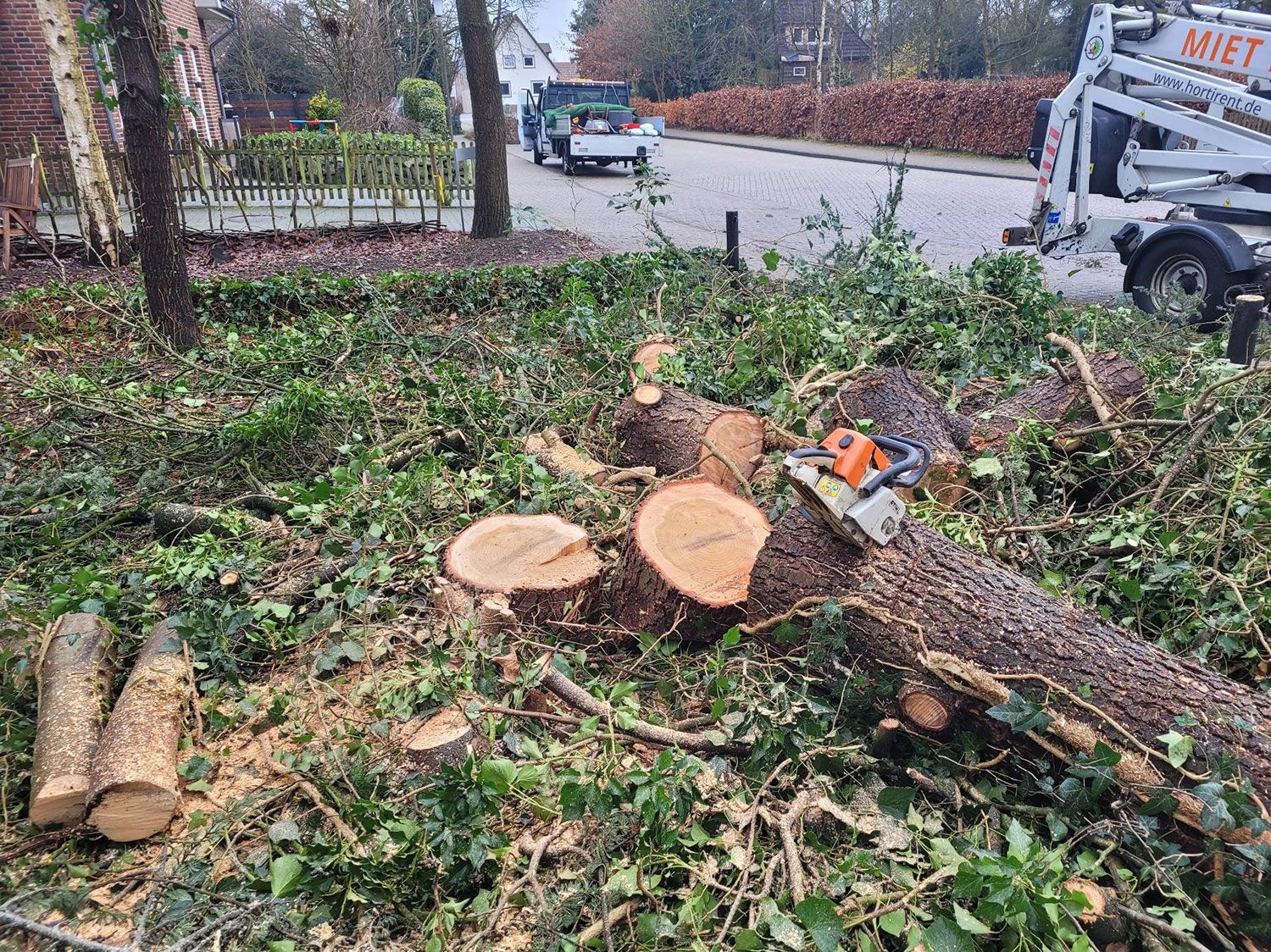 Eine Säge liegt auf einem abetrennten Baumstamm