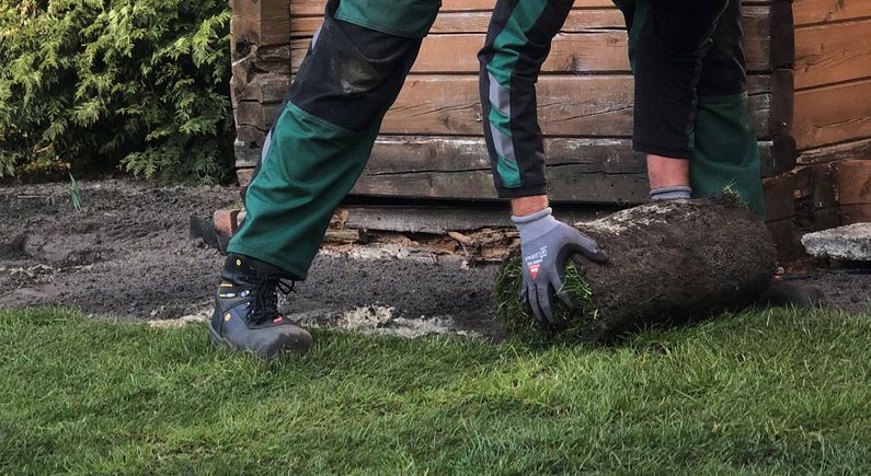 Ein Mitarbeiter rollt einen Rasen aus