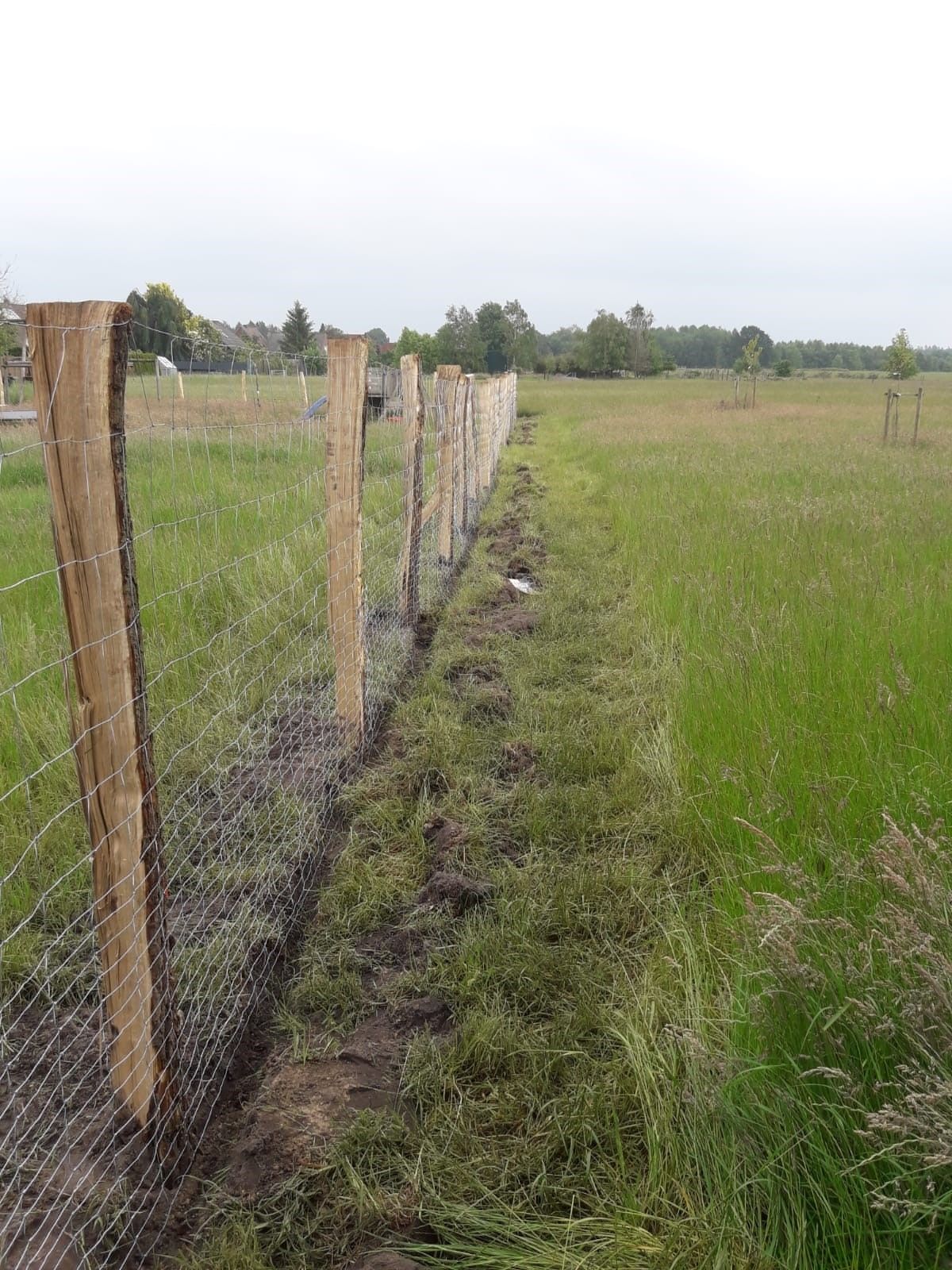 Ein Zaun auf einer Wiese